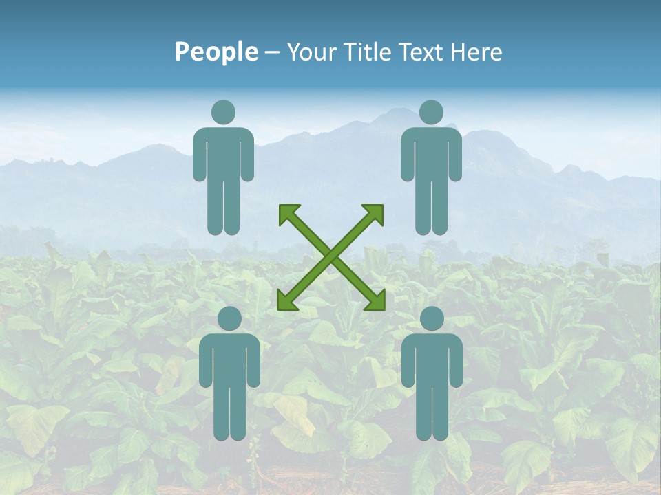 Cool Fresh Transparent PowerPoint Template