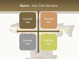 Trout Fishing Gone Fishing Vacations PowerPoint Template