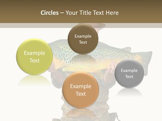 Trout Fishing Gone Fishing Vacations PowerPoint Template