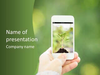 Copy Tree Computer PowerPoint Template