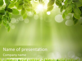 Environmental Pattern Easter PowerPoint Template