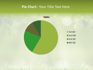 Environmental Pattern Easter PowerPoint Template