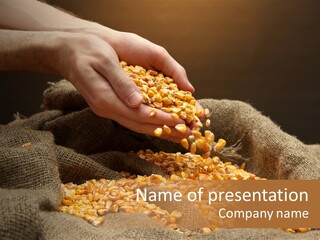 Grain Seeds Meal PowerPoint Template