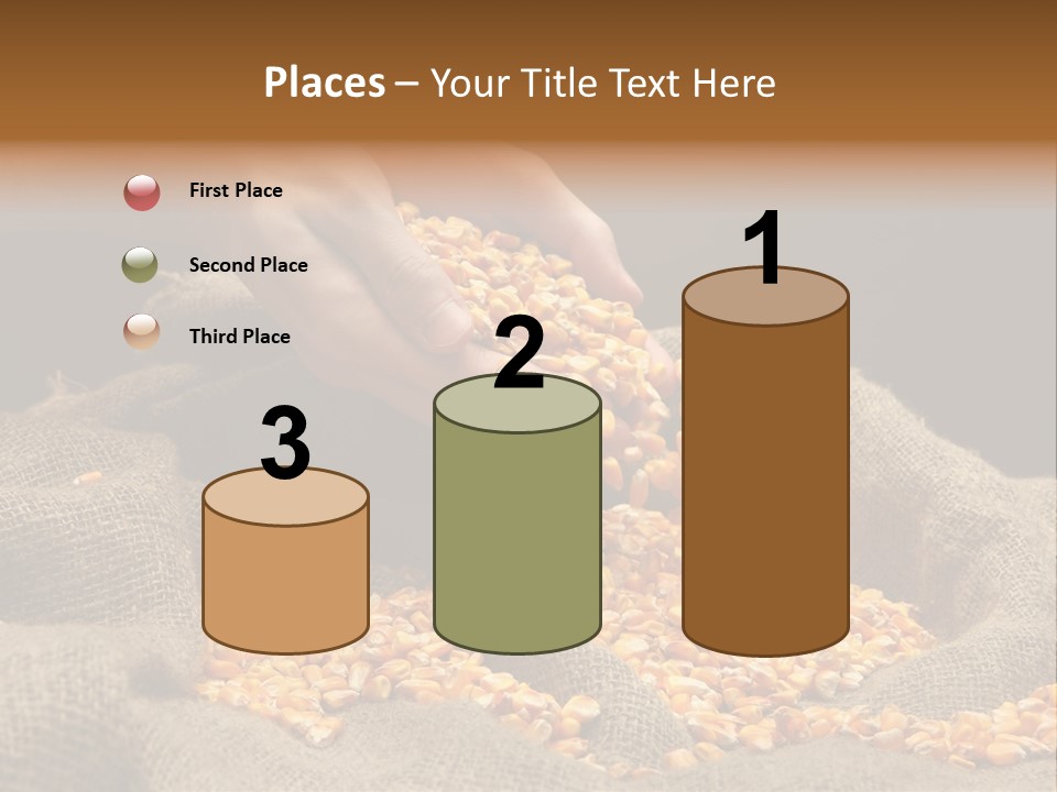 Grain Seeds Meal PowerPoint Template