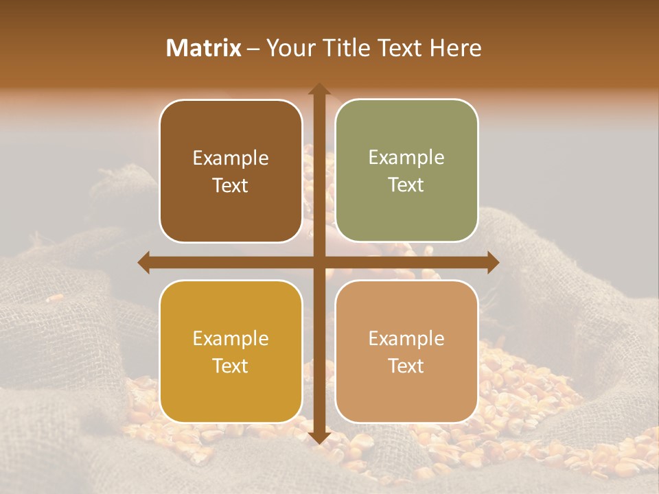 Grain Seeds Meal PowerPoint Template