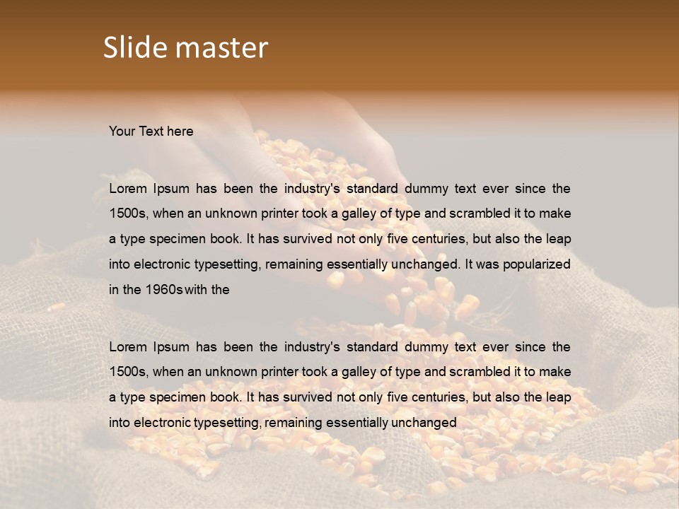 Grain Seeds Meal PowerPoint Template