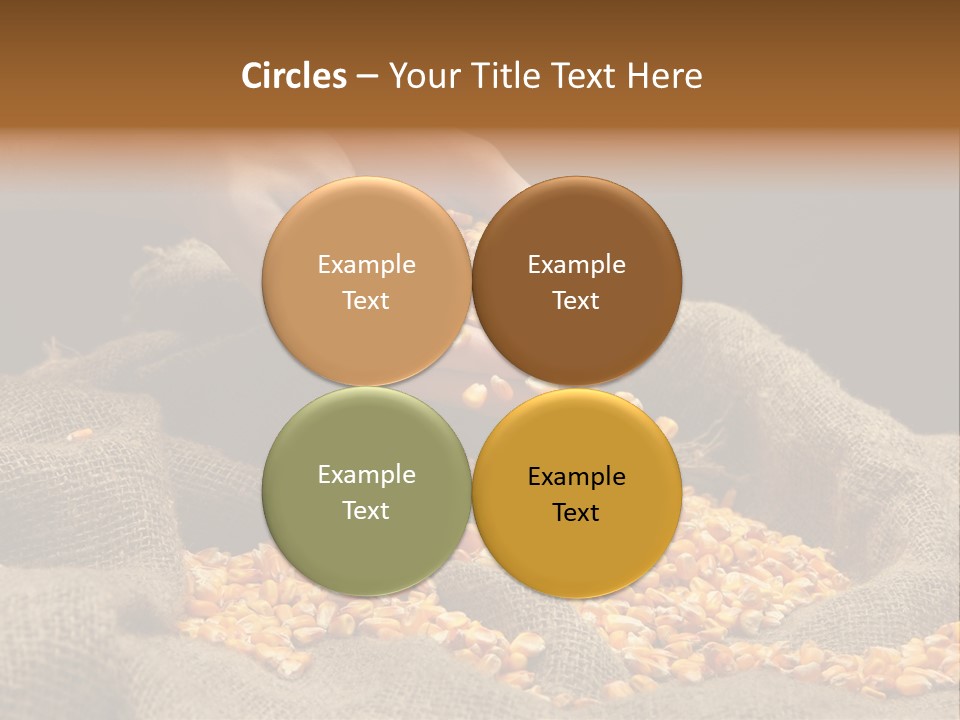 Grain Seeds Meal PowerPoint Template