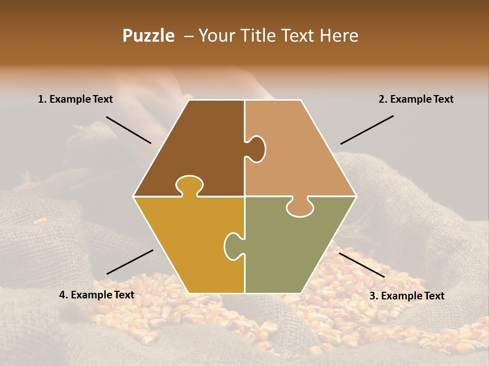 Grain Seeds Meal PowerPoint Template