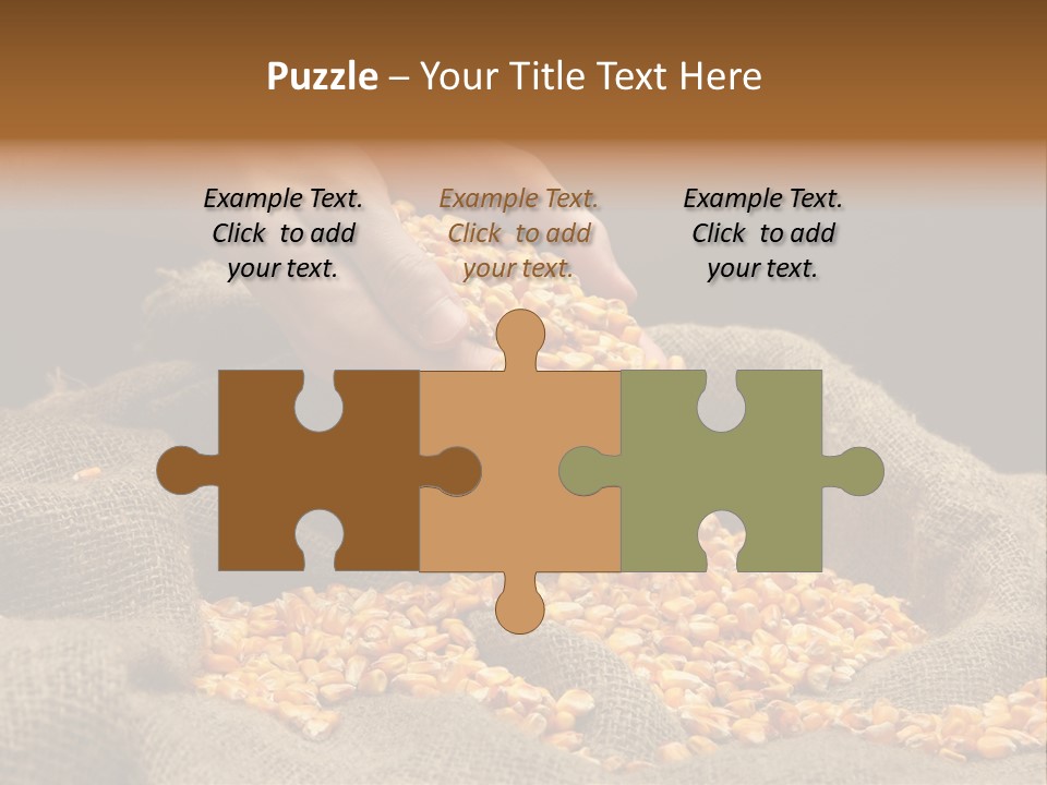 Grain Seeds Meal PowerPoint Template