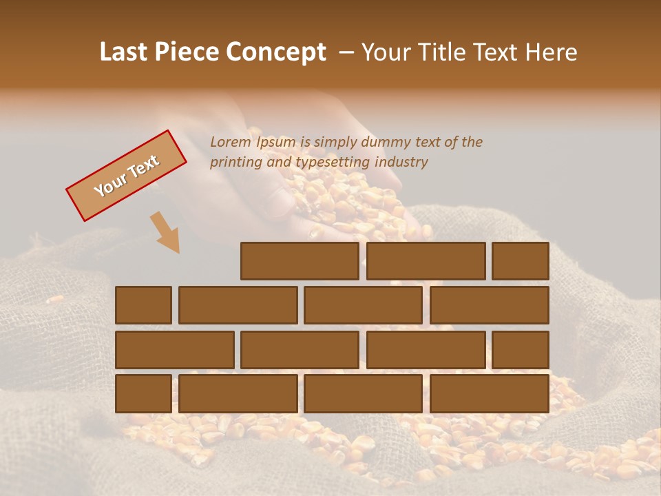 Grain Seeds Meal PowerPoint Template
