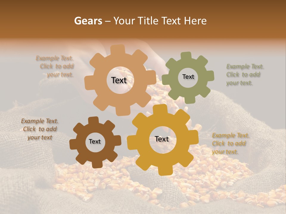 Grain Seeds Meal PowerPoint Template