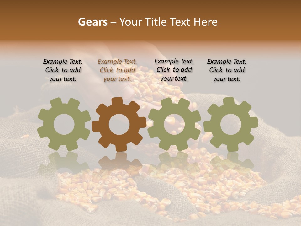 Grain Seeds Meal PowerPoint Template