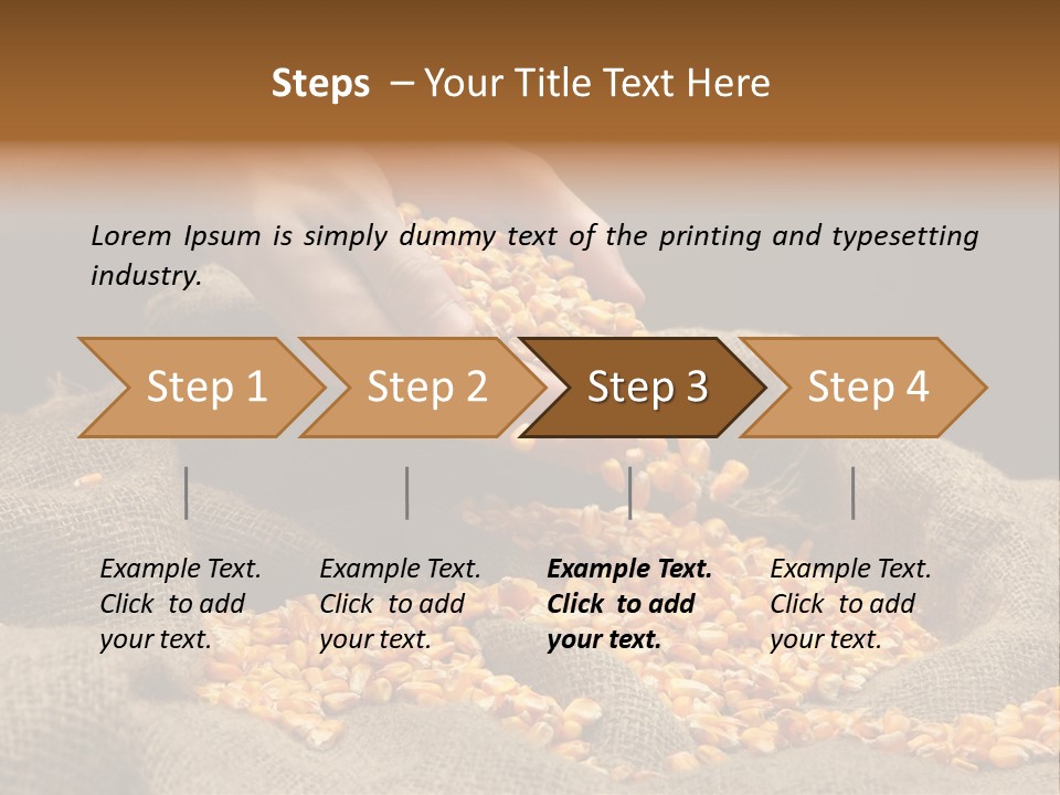 Grain Seeds Meal PowerPoint Template