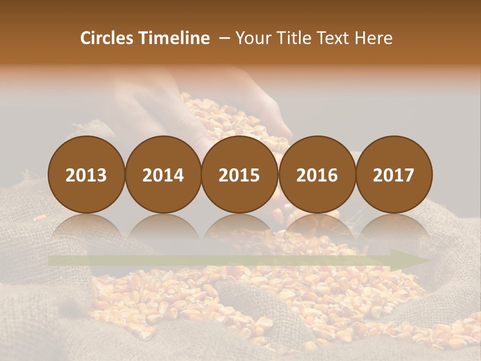 Grain Seeds Meal PowerPoint Template