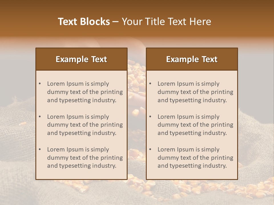 Grain Seeds Meal PowerPoint Template