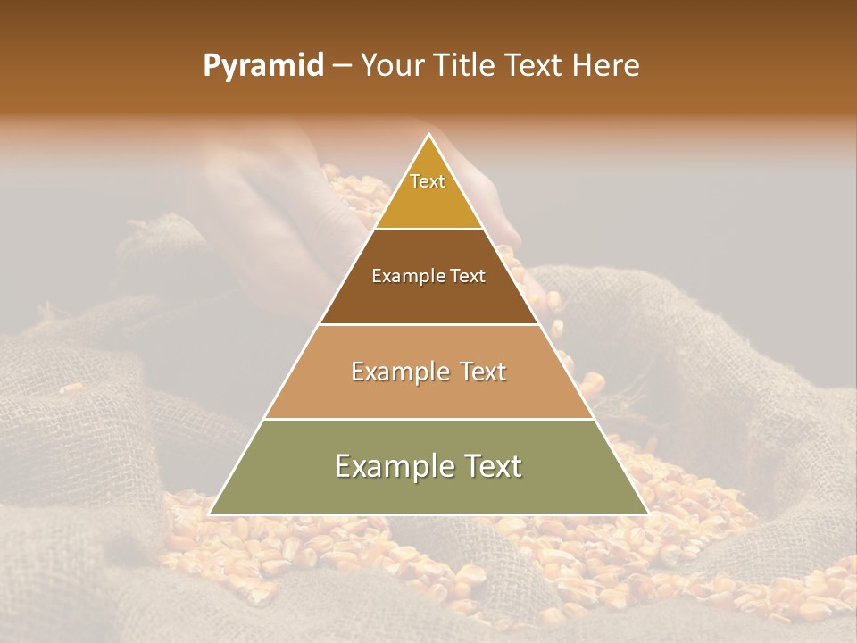 Grain Seeds Meal PowerPoint Template