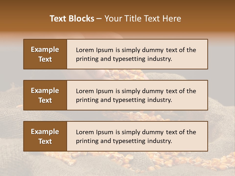 Grain Seeds Meal PowerPoint Template