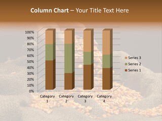 Grain Seeds Meal PowerPoint Template