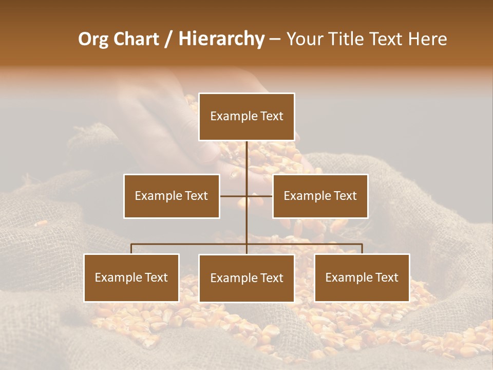 Grain Seeds Meal PowerPoint Template