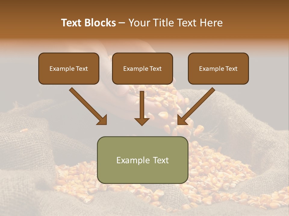 Grain Seeds Meal PowerPoint Template