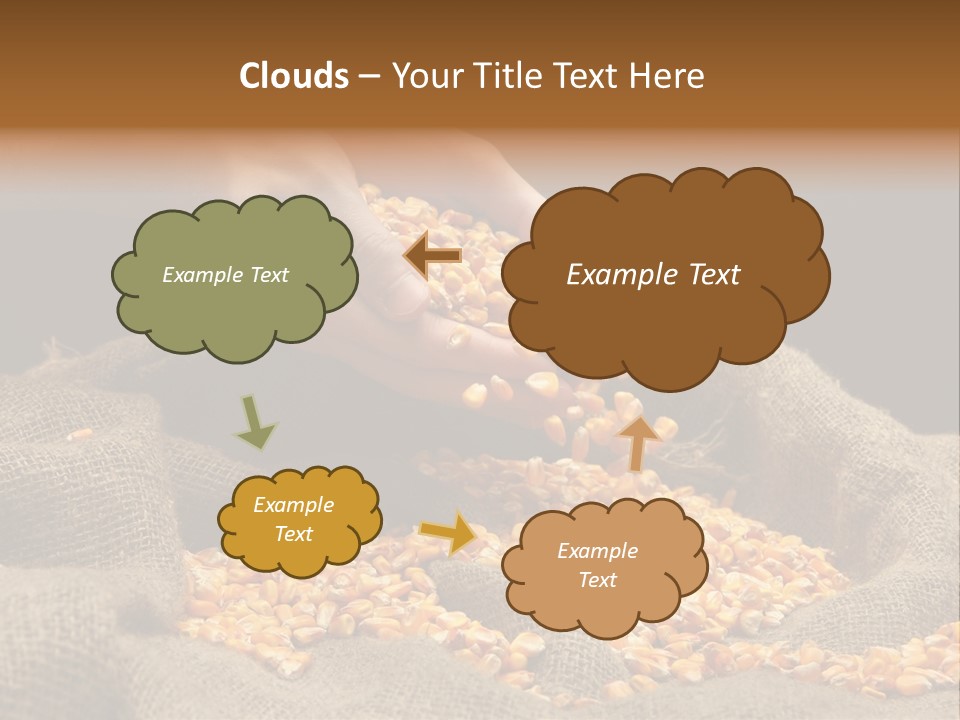 Grain Seeds Meal PowerPoint Template