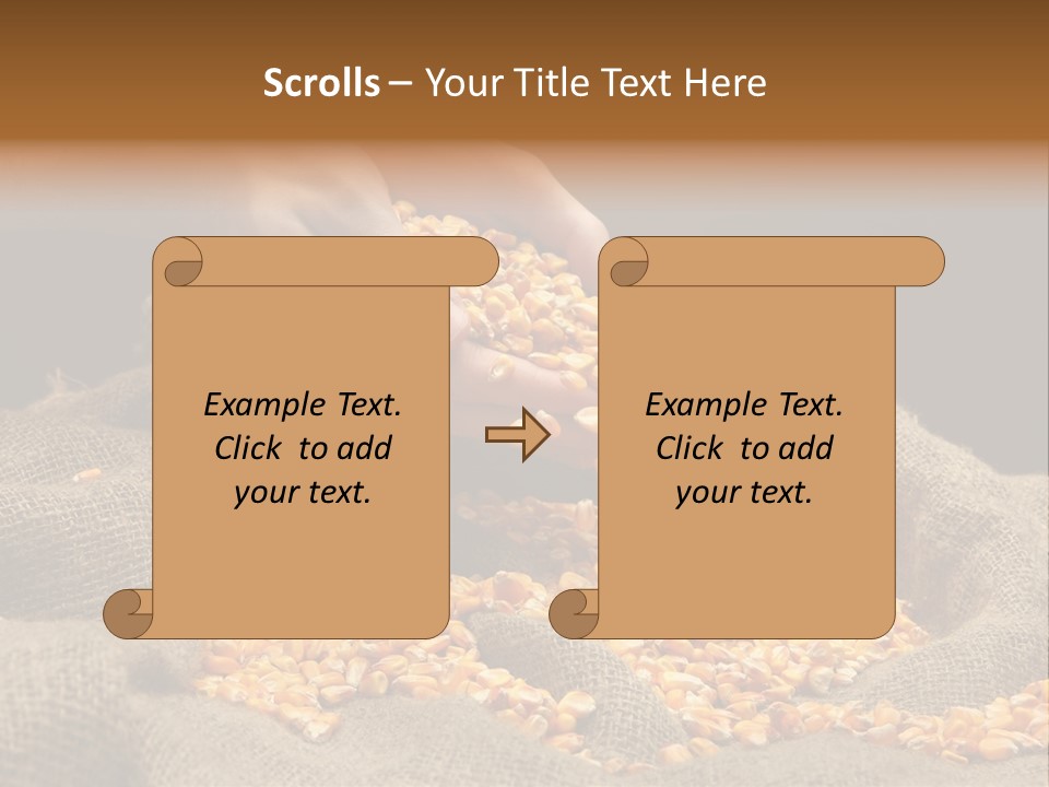 Grain Seeds Meal PowerPoint Template