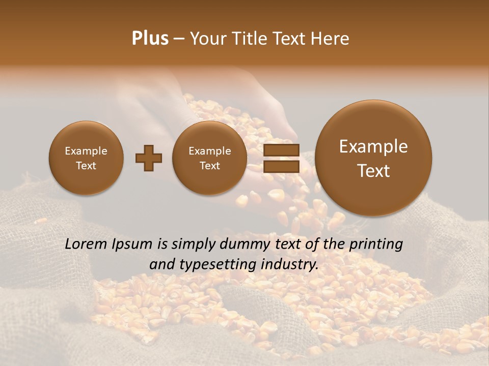 Grain Seeds Meal PowerPoint Template