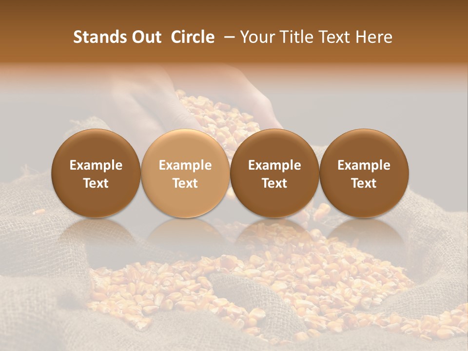 Grain Seeds Meal PowerPoint Template