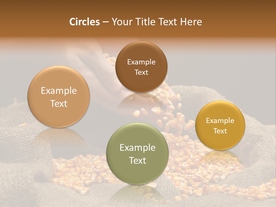 Grain Seeds Meal PowerPoint Template