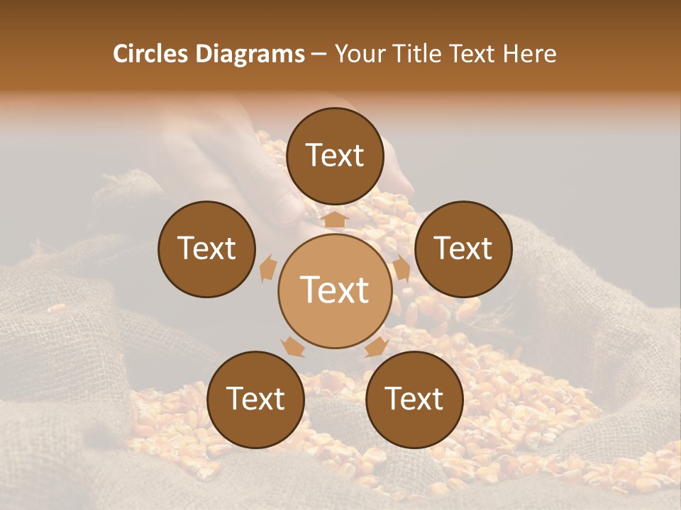 Grain Seeds Meal PowerPoint Template