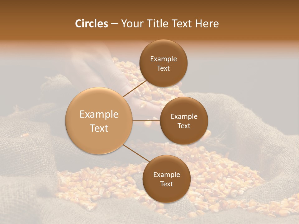 Grain Seeds Meal PowerPoint Template