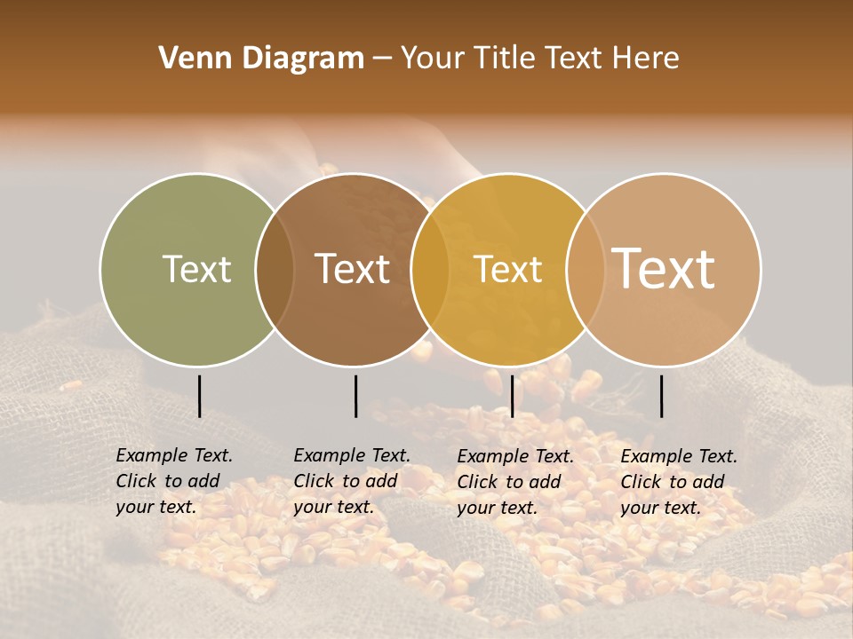 Grain Seeds Meal PowerPoint Template