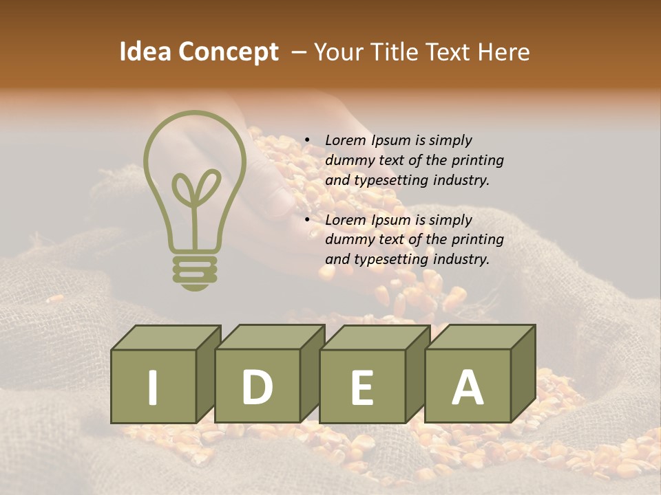 Grain Seeds Meal PowerPoint Template