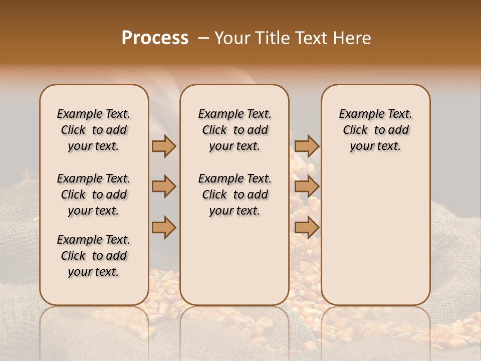 Grain Seeds Meal PowerPoint Template