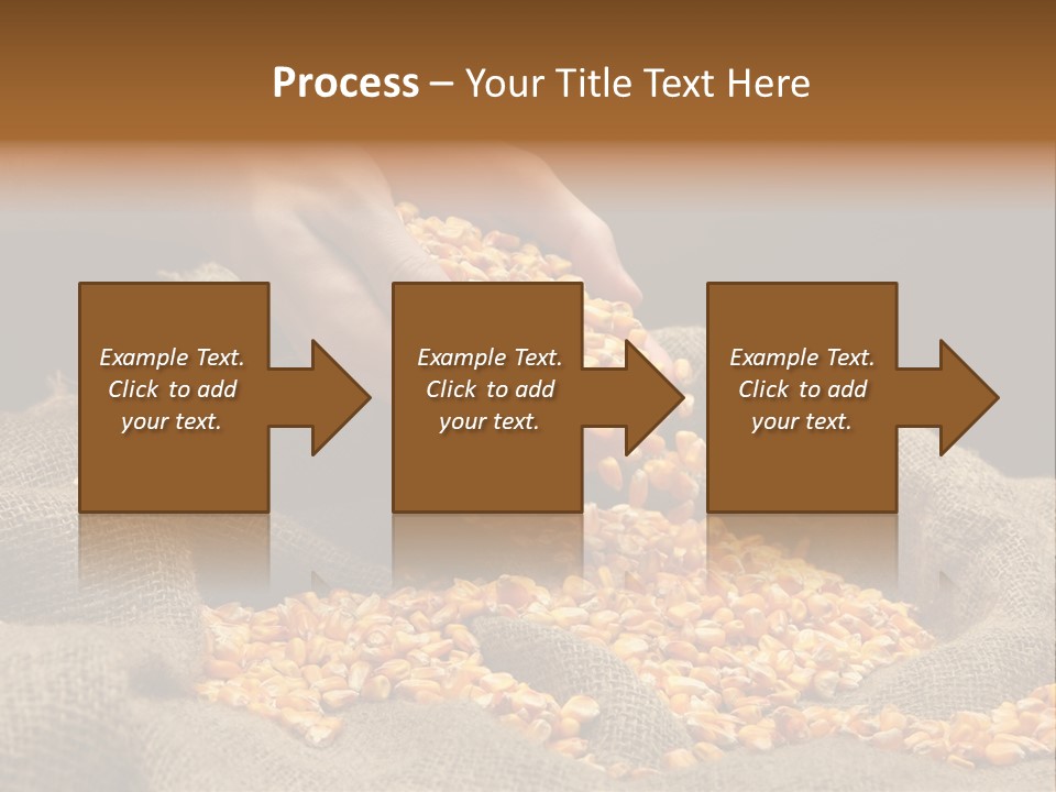Grain Seeds Meal PowerPoint Template