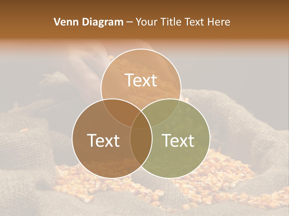 Grain Seeds Meal PowerPoint Template