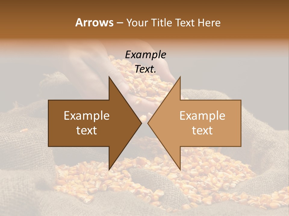 Grain Seeds Meal PowerPoint Template