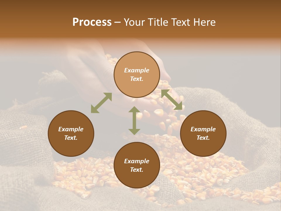 Grain Seeds Meal PowerPoint Template