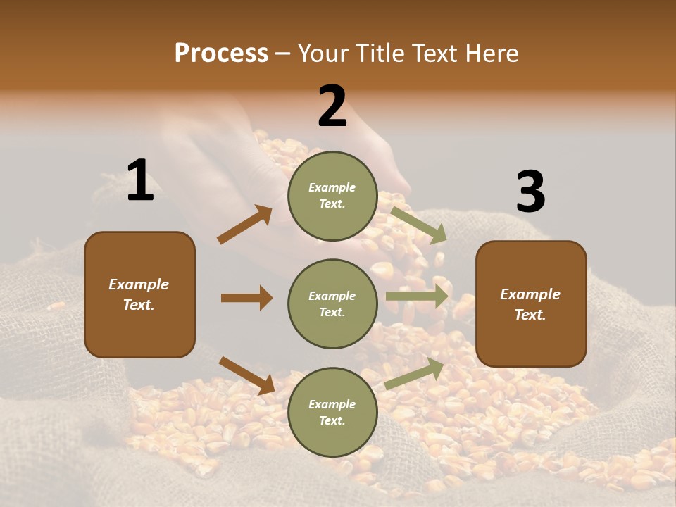 Grain Seeds Meal PowerPoint Template