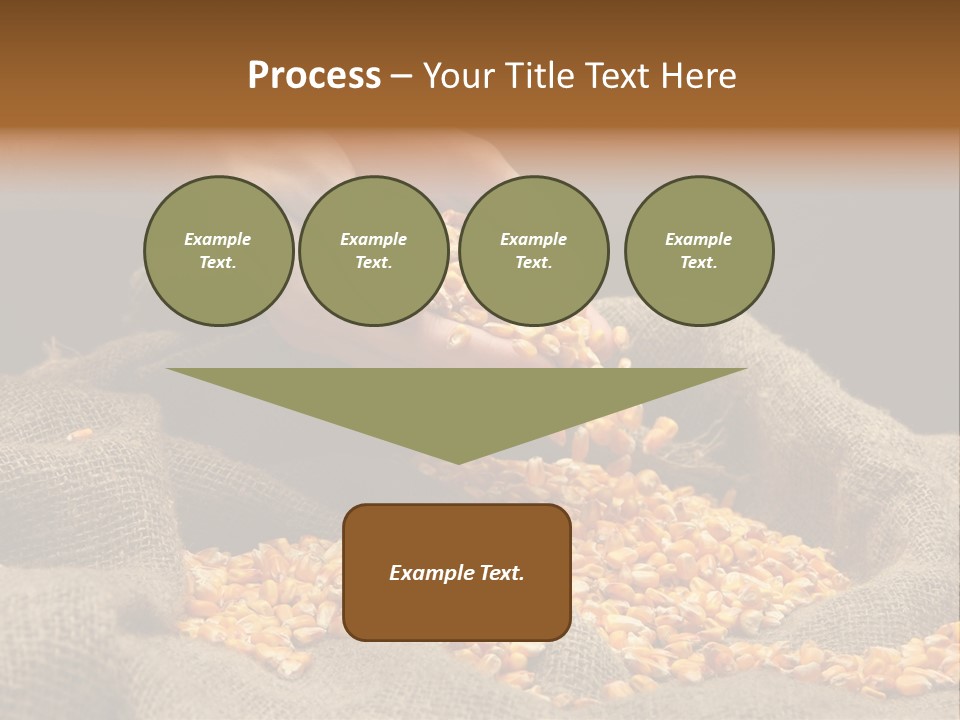 Grain Seeds Meal PowerPoint Template