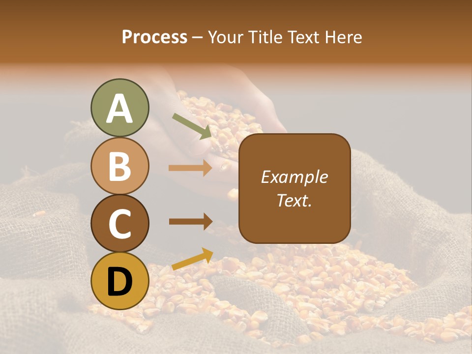 Grain Seeds Meal PowerPoint Template