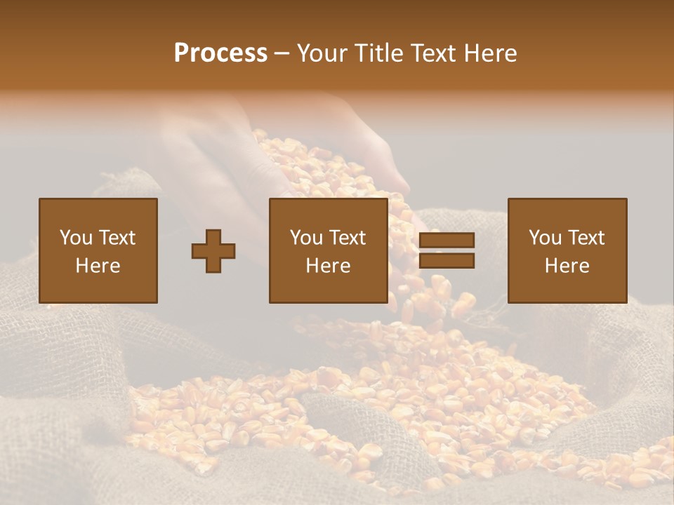Grain Seeds Meal PowerPoint Template