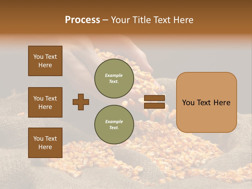 Grain Seeds Meal PowerPoint Template