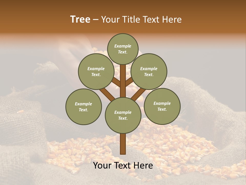 Grain Seeds Meal PowerPoint Template