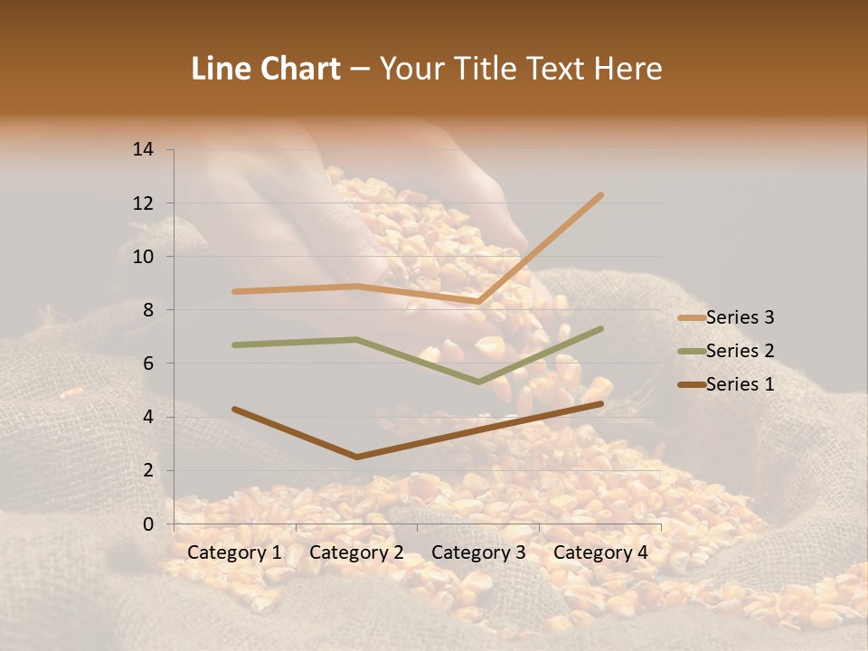 Grain Seeds Meal PowerPoint Template