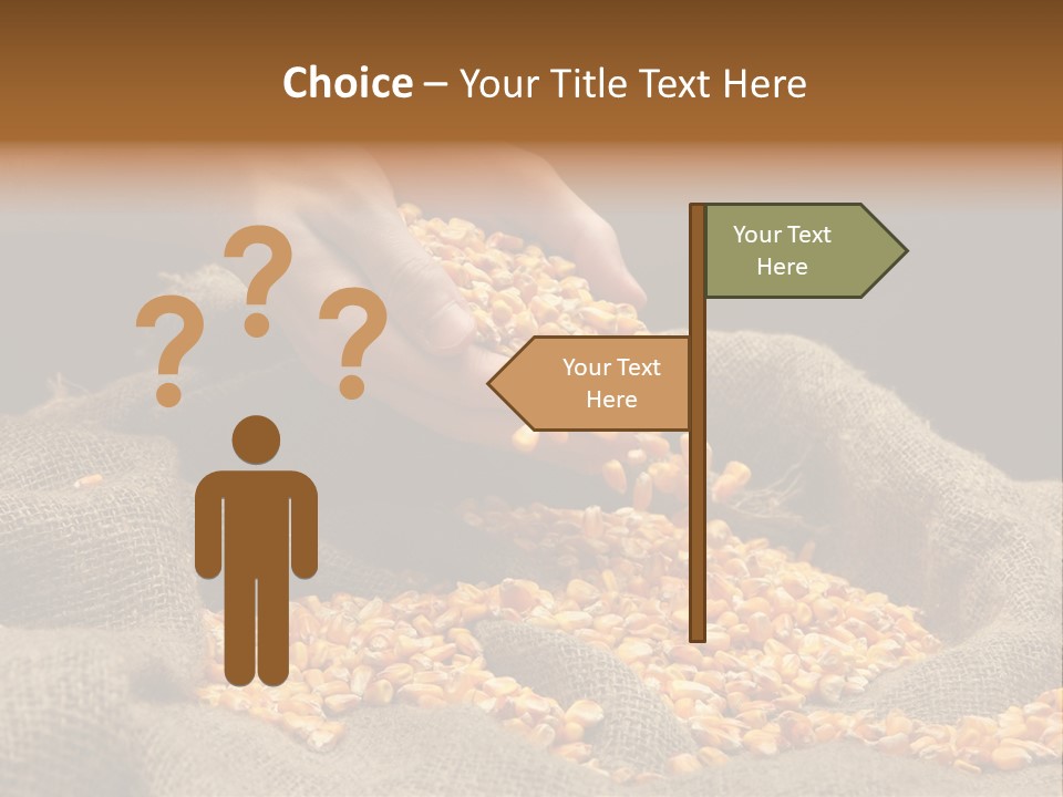 Grain Seeds Meal PowerPoint Template