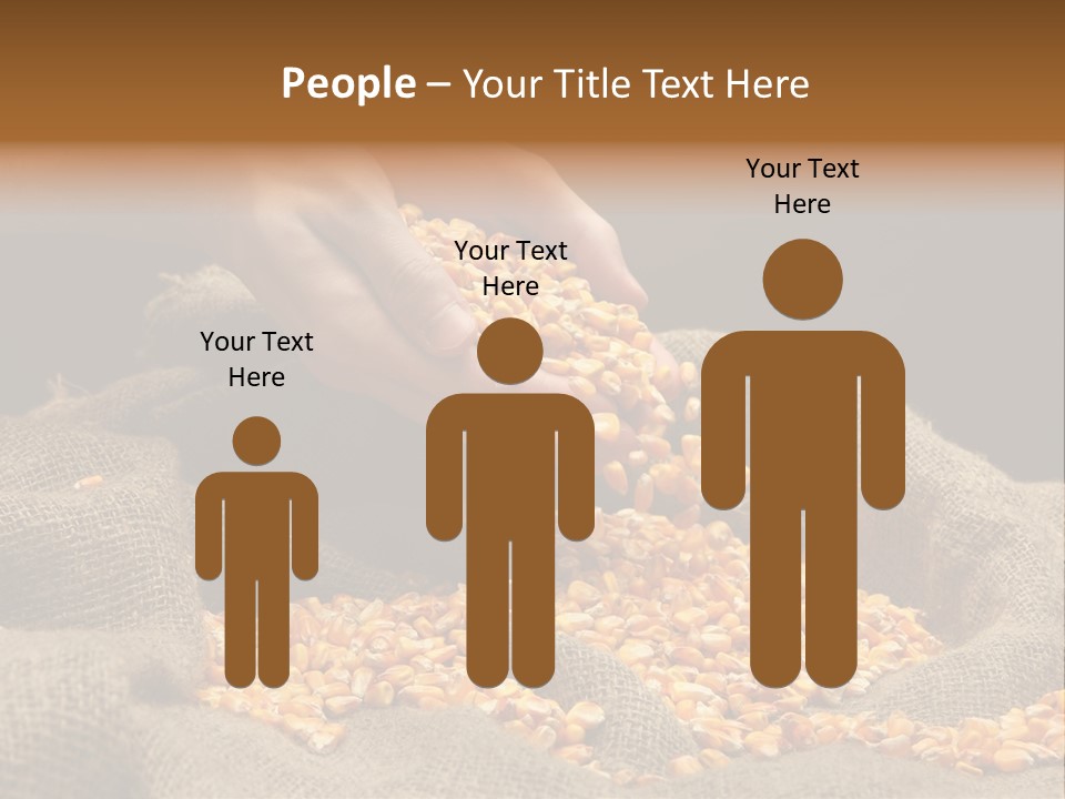 Grain Seeds Meal PowerPoint Template