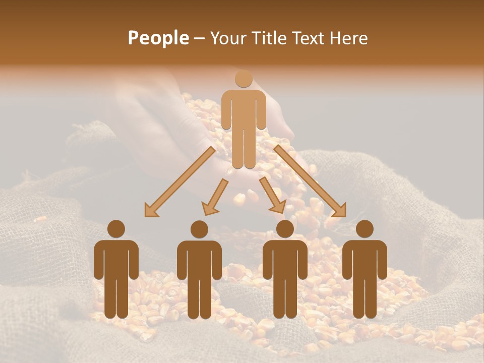 Grain Seeds Meal PowerPoint Template
