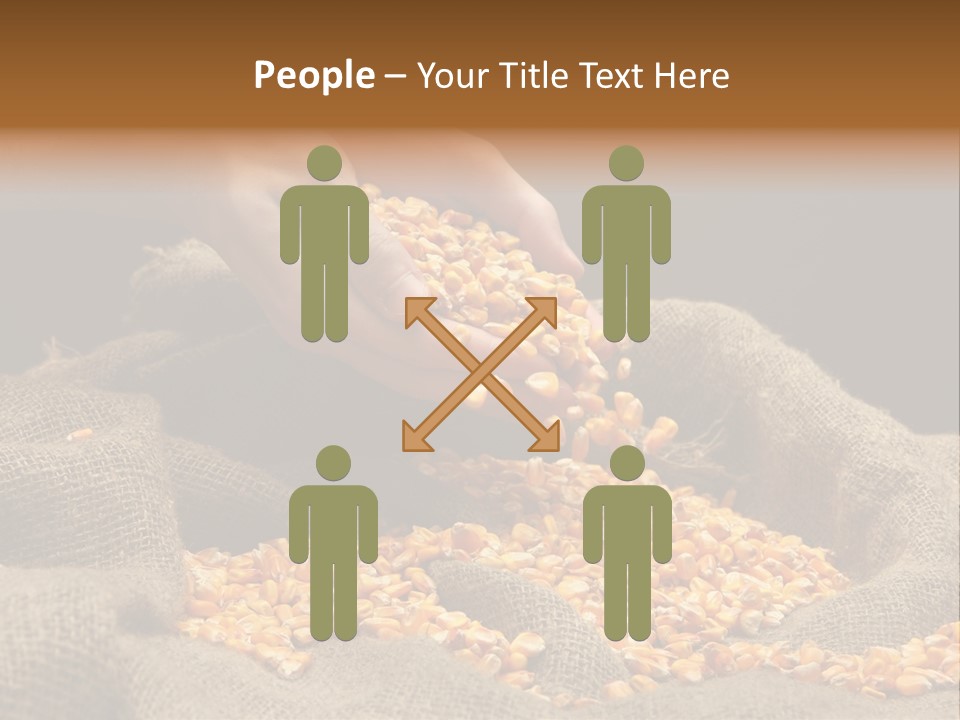 Grain Seeds Meal PowerPoint Template