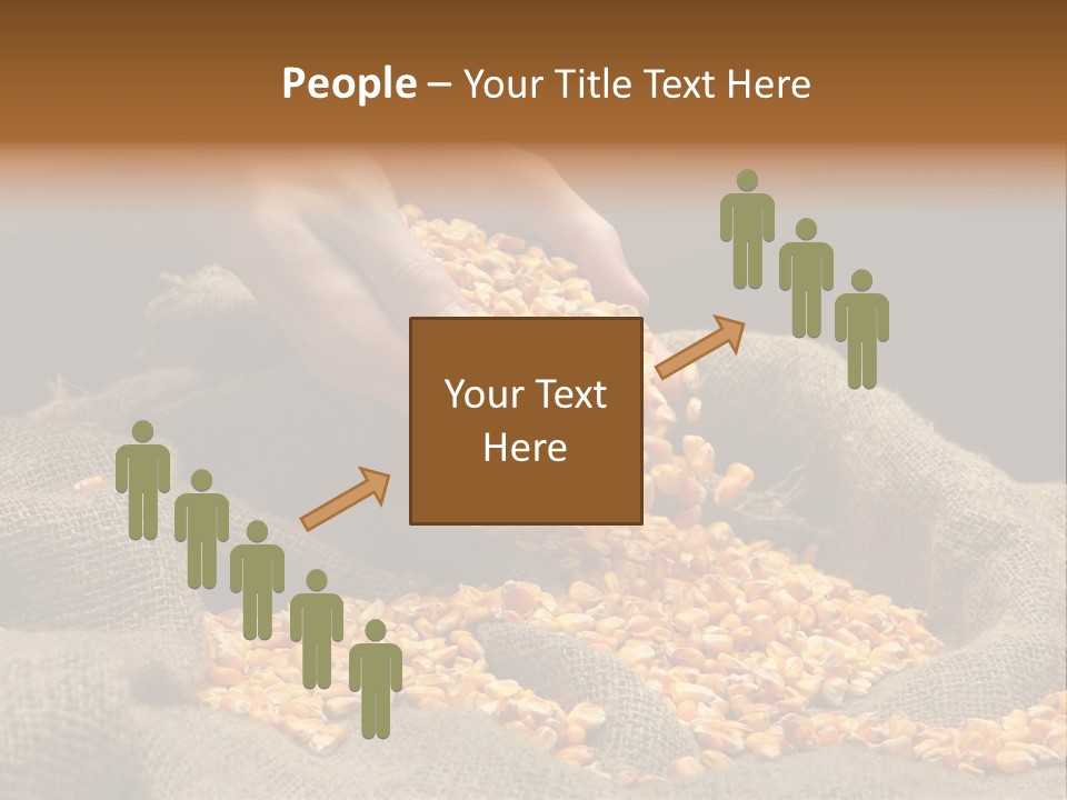 Grain Seeds Meal PowerPoint Template